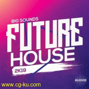 Big Sounds Future House 2K19 WAV MIDi Serum Presets的图片1