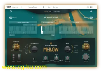 UJAM Virtual Bassist Mellow v1.0.1 MAC的图片1