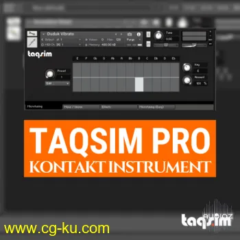 TAQS.IM Kontakt Pro Library KONTAKT-DECiBEL的图片1