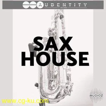 Audentity Records Sax House WAV MiDi的图片1