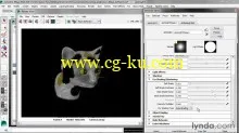 Lynda – Creating Fur in Maya with Aaron F. Ross的图片2