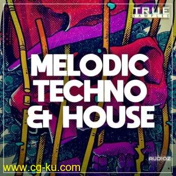 True Samples – Melodic Techno & House WAV MIDi Spire的图片1