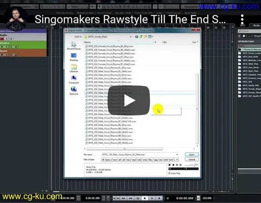 Singomakers Rawstyle Till The End MULTiFORMAT的图片1