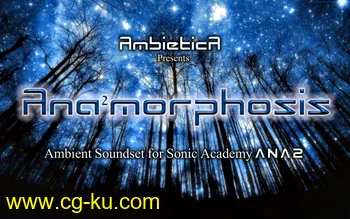 Ana²morphosis for Sonic Academy ANA 2的图片1