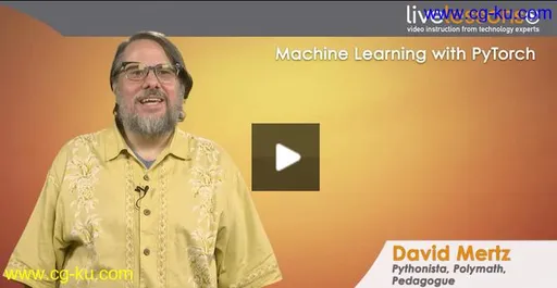 Machine Learning with PyTorch LiveLessons的图片1