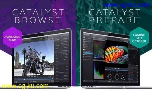 Sony Catalyst Browse Suite 2019.2的图片1