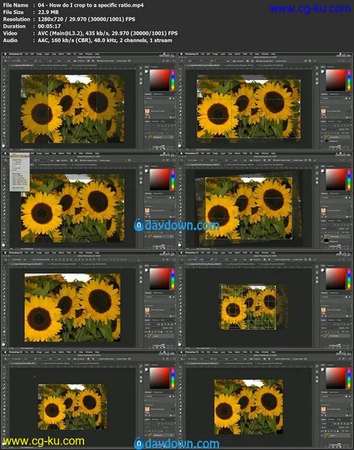 Photoshop: Tips and Quick Fixes的图片1