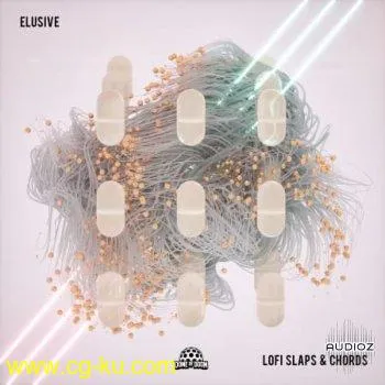 Elusive – Lofi Slaps & Chords WAV的图片1