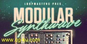 Loopmasters Modular Synthwave MULTIFORMAT的图片1