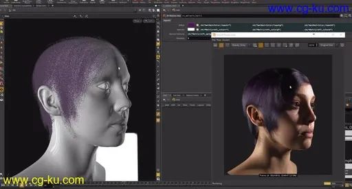 Patreon – Redshift Hair Shading, Custom Melanin Shader, Color Randomization in Houdini + MOPs的图片1