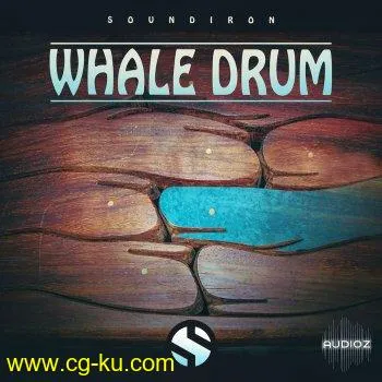 Soundiron Whale Drum v2.0 KONTAKT的图片1