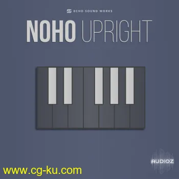 Echo Sound Works Noho Upright KONTAKT MERRY XMAS的图片1