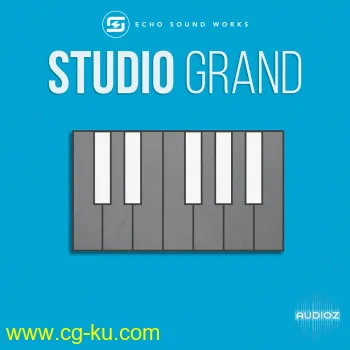 Echo Sound Works Studio Grand KONTAKT MERRY XMAS的图片1