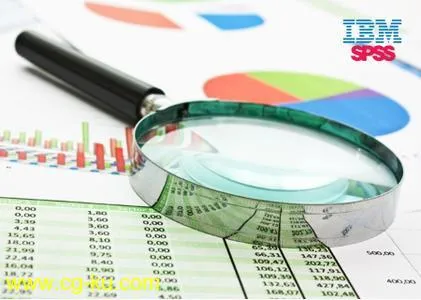 IBM SPSS Statistics 25.0 FP002 IF006的图片1