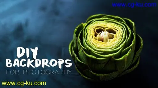 DIY Backdrops II: Custom Photography Textures的图片2