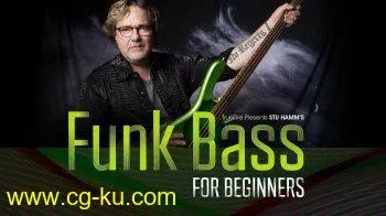 TrueFire Stu Hamm's Funk Bass for Beginners TUTORiAL的图片1