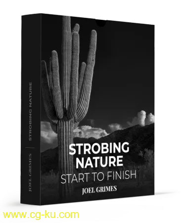 Strobing Nature – Start to Finish的图片1