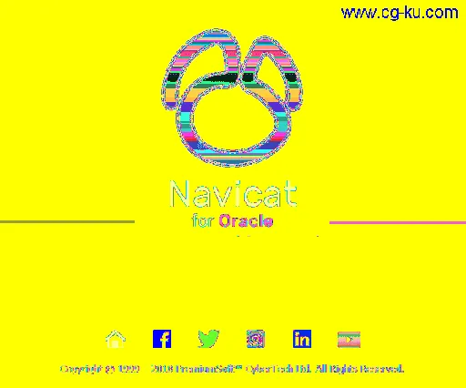 Navicat for Oracle 15.0.13的图片1