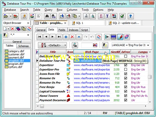 Database Tour Pro 8.0.1.21的图片1