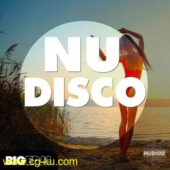 Big EDM Nu Disco WAV MiDi SPiRE PRESETS的图片1