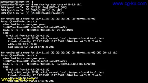 Cumulus Linux from Basics to Advanced VXLAN EVPN的图片1