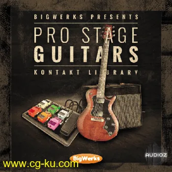 Bigwerks ProStage Guitars KONTAKT的图片1