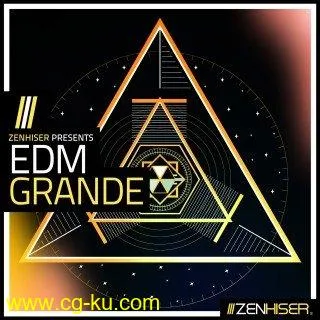 Zenhiser EDM Grande WAV的图片1