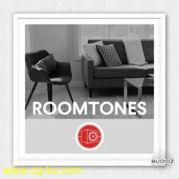 Big Room Sound Roomtones WAV的图片1