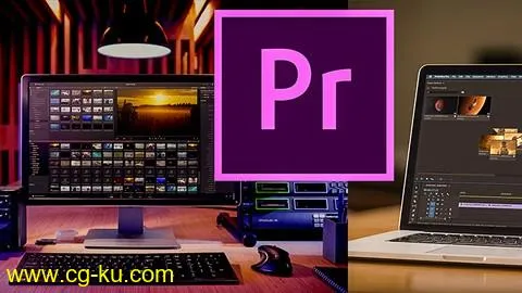 The Best Adobe Premiere Pro Video Editing Masterclass的图片1