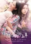 The Stolen Years 2013 1080p BluRay x264-WiKi 被偷走的那五年的图片1