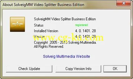 SolveigMM Video Splitter 4.0.1401.28 Business Edition的图片2