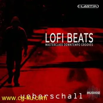 Ueberschall LoFi Beats ELASTIK的图片1