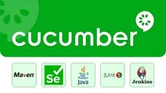 Cucumber with Java: From Beginner to Expert的图片1