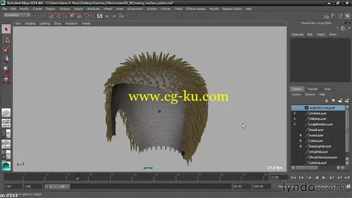 Creating Hair with Maya nHair的图片3