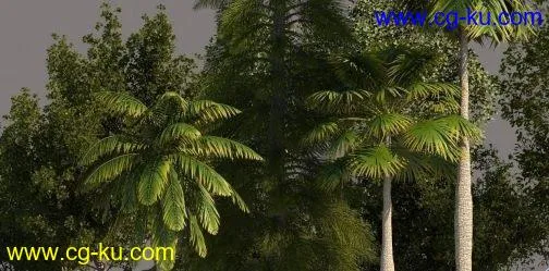 CGTrader – Tree Pack 01 3D models的图片1