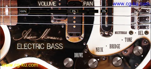 Adam Monroe Music Electric Bass v1.3 AAX AU VST WiN/OSX-DECiBEL的图片1