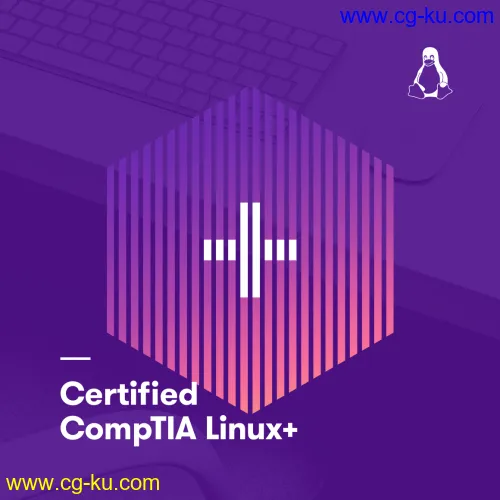 Certified CompTIA Linux+ and Certified LPIC-1: System Administrator的图片1