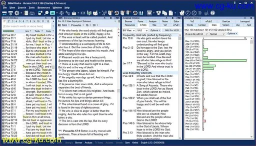 BibleWorks 10.0 Multilingual Retail ISO的图片2