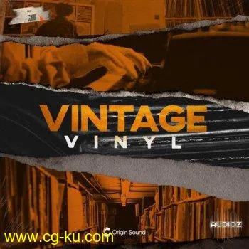 Origin Sound Vintage Vinyl WAV-DECiBEL的图片1