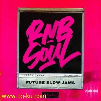Origin Sound RnB Soul: Future Slow Jams WAV-DECiBEL的图片1
