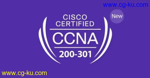 Cisco CCNA 200-301 : Full Course For Networking Basics的图片1