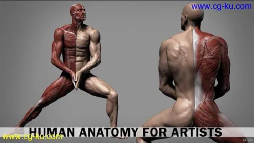 Human Anatomy for Artists using Zbrush and Photoshop的图片1