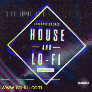 Loopmasters House & LoFi MULTiFORMAT的图片1