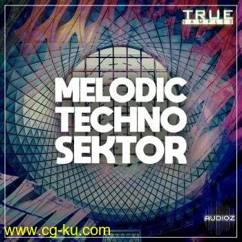 True Samples Melodic Techno Sektor WAV MiDi REVEAL SOUND SPiRE的图片1