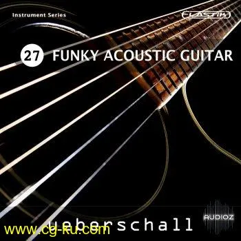 Ueberschall Funky Acoustic Guitar ELASTIK的图片1