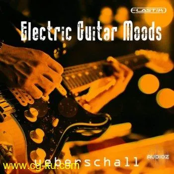 Ueberschall Electric Guitar Moods ELASTIK的图片1