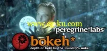 PeregrineLabs Bokeh 1.3.7 for NUKE 8.0 WIN/MAC/LINUX的图片1