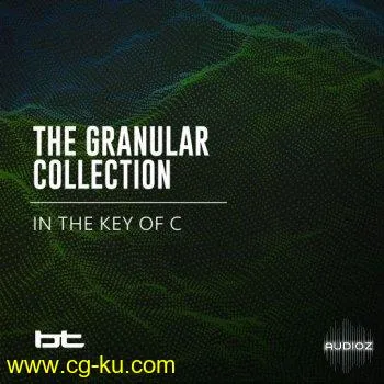 BT The Granular Collection In The Key Of C WAV-SYNTHiC4TE的图片1