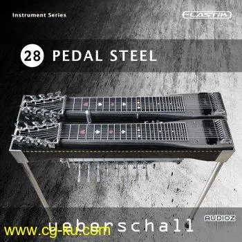 Ueberschall Pedal Steel ELASTIK的图片1