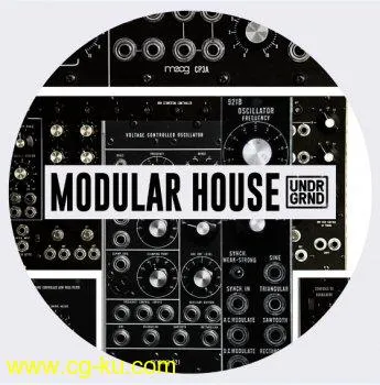 UNDRGRND Sounds Modular House WAV的图片1